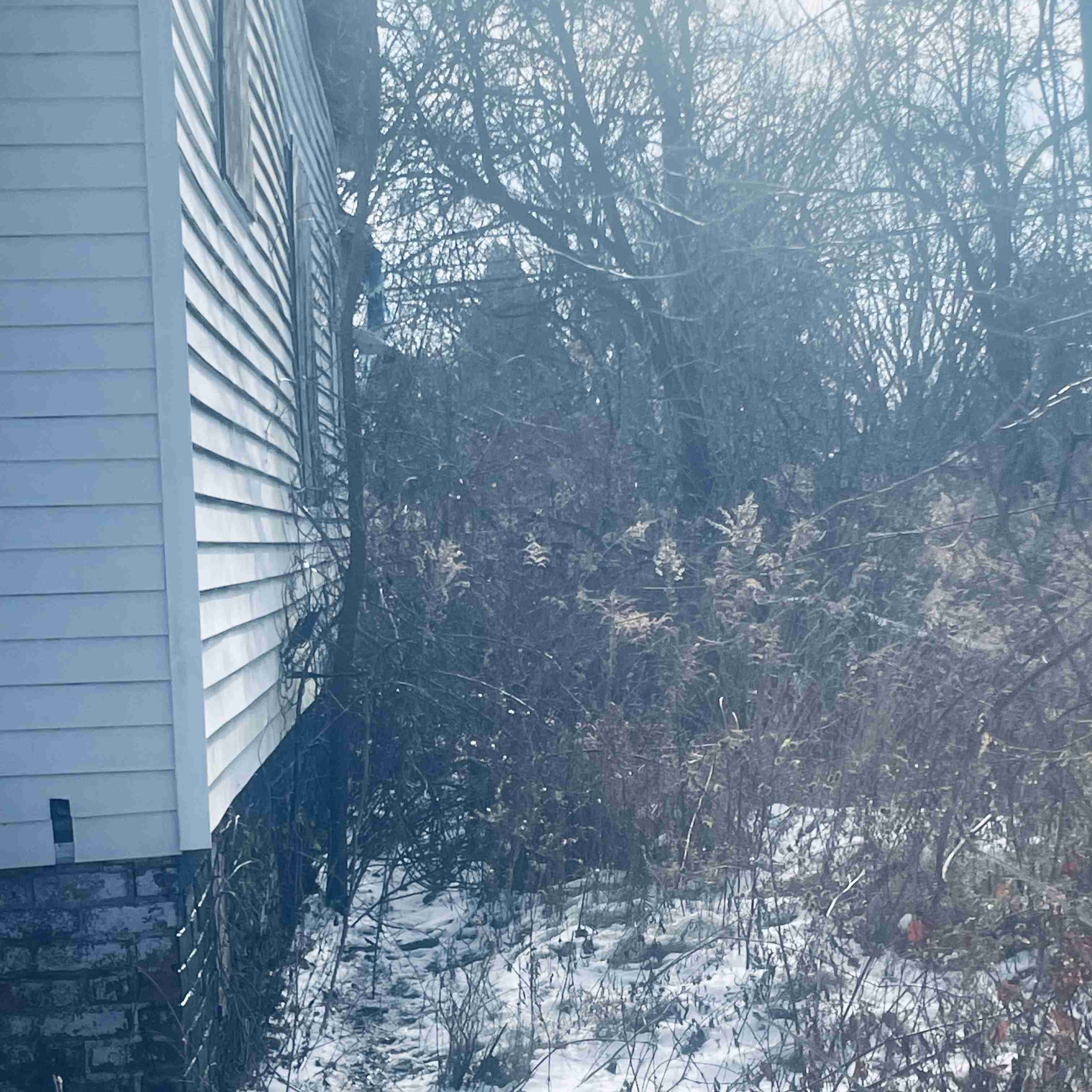 12484 Loretto (14).jpg